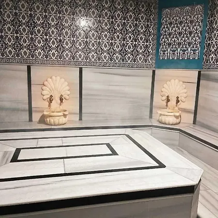 Ottoman Sakarya Hotel 4*