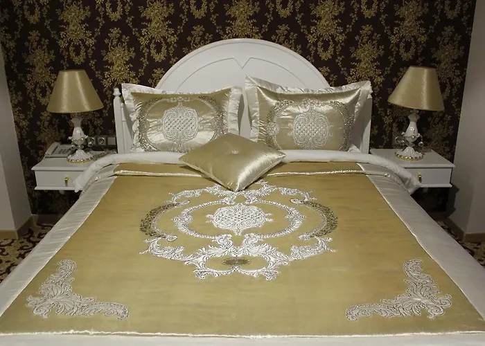 ホテル Ottoman Sakarya アダパザル