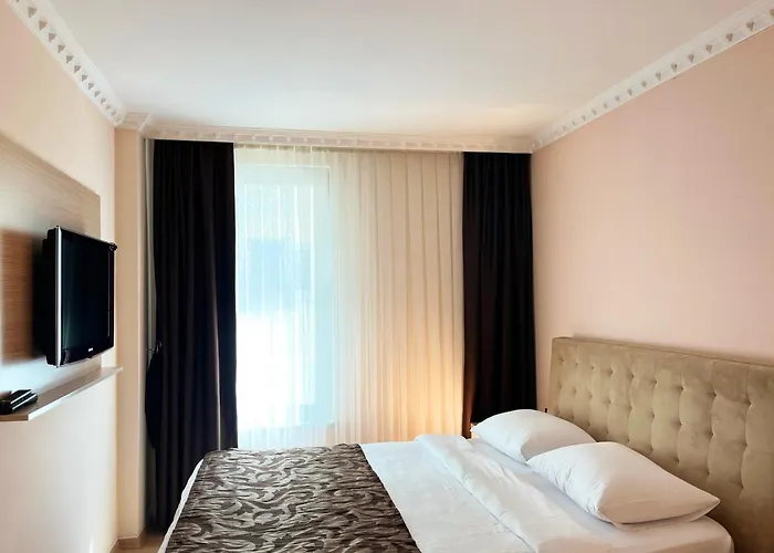 ホテル Ottoman Sakarya アダパザル