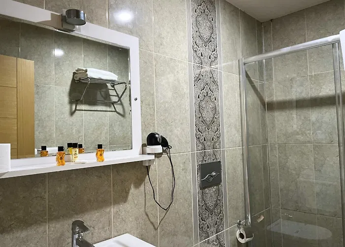 Ottoman Sakarya ホテル