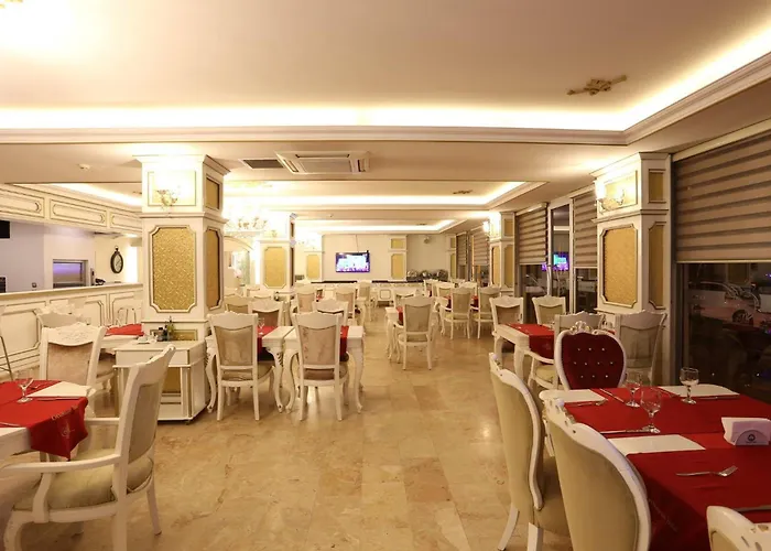 ホテル Ottoman Sakarya