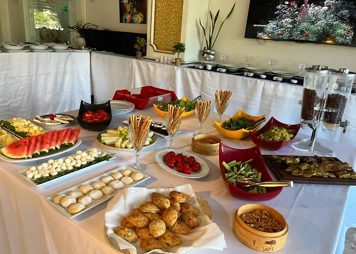 Ottoman Sakarya ホテル