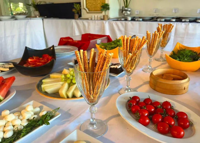 ホテル Ottoman Sakarya アダパザル