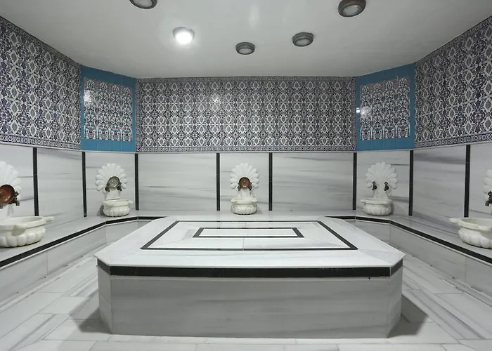 Ottoman Sakarya ホテル 4*