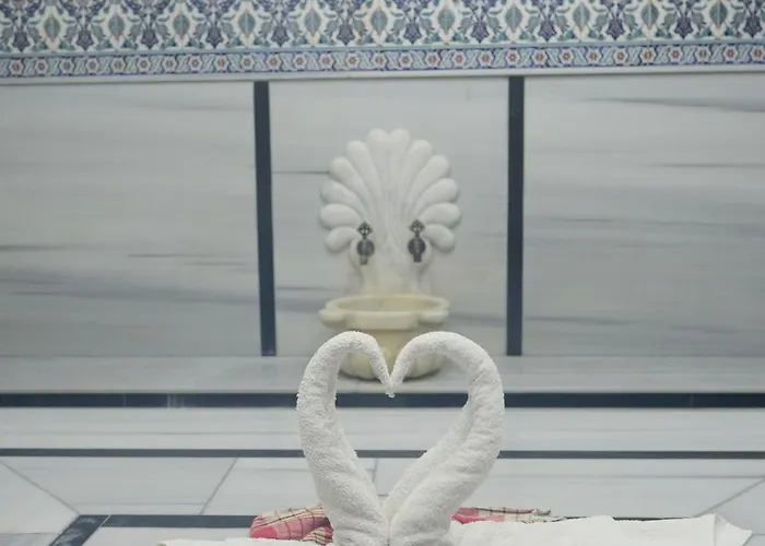 Ottoman Sakarya ホテル アダパザル