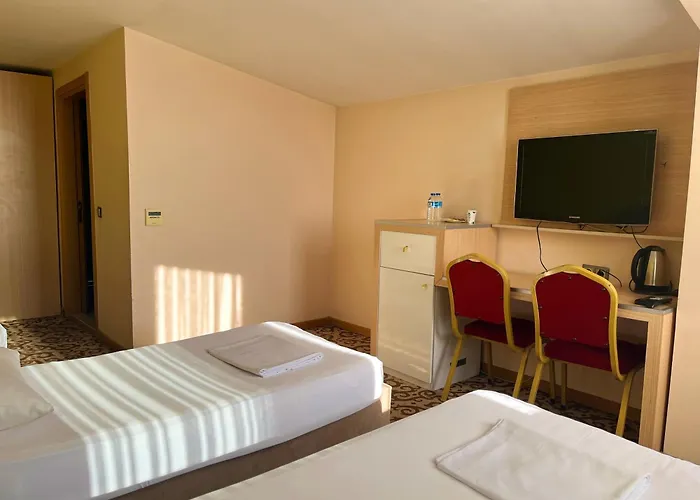 Ottoman Sakarya ホテル 4*