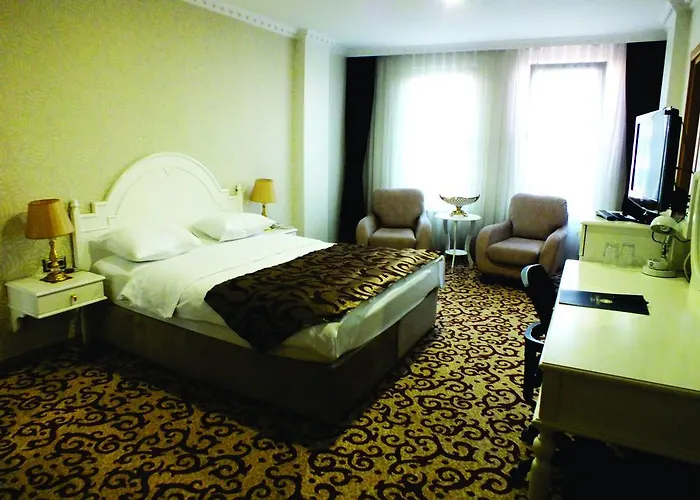 ホテル Ottoman Sakarya