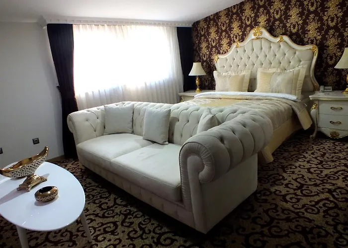 ホテル Ottoman Sakarya アダパザル